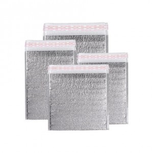 Disposable Insulated Bag for Transport