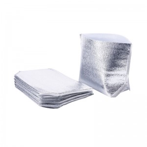 Disposable Insulated Bag for Transport