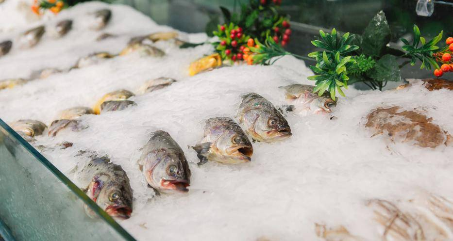 The first seafood distribution cold chain logistics project is progressing smoothly.