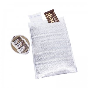 Disposable Insulated Bag for Transport