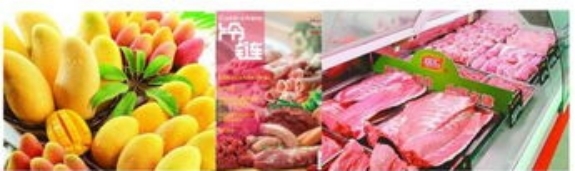 Temperature Standards For Coldchain Logistics
