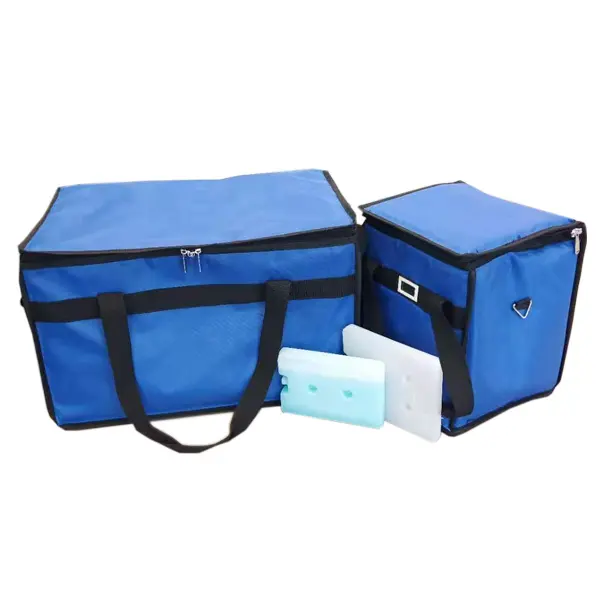 Enhancing Cold Chain Packaging Solutions through Innovation in 2024