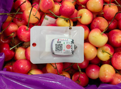 China Eastern Airlines Cold Chain Wins Innovation Award for ‘Dongdong Test’ Temperature-Controlled Label