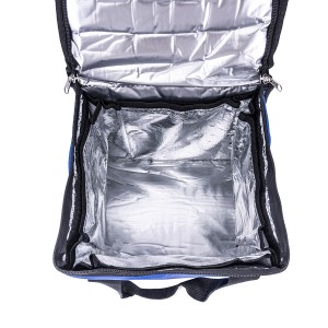 PCM Plate Medical Cooler Bag