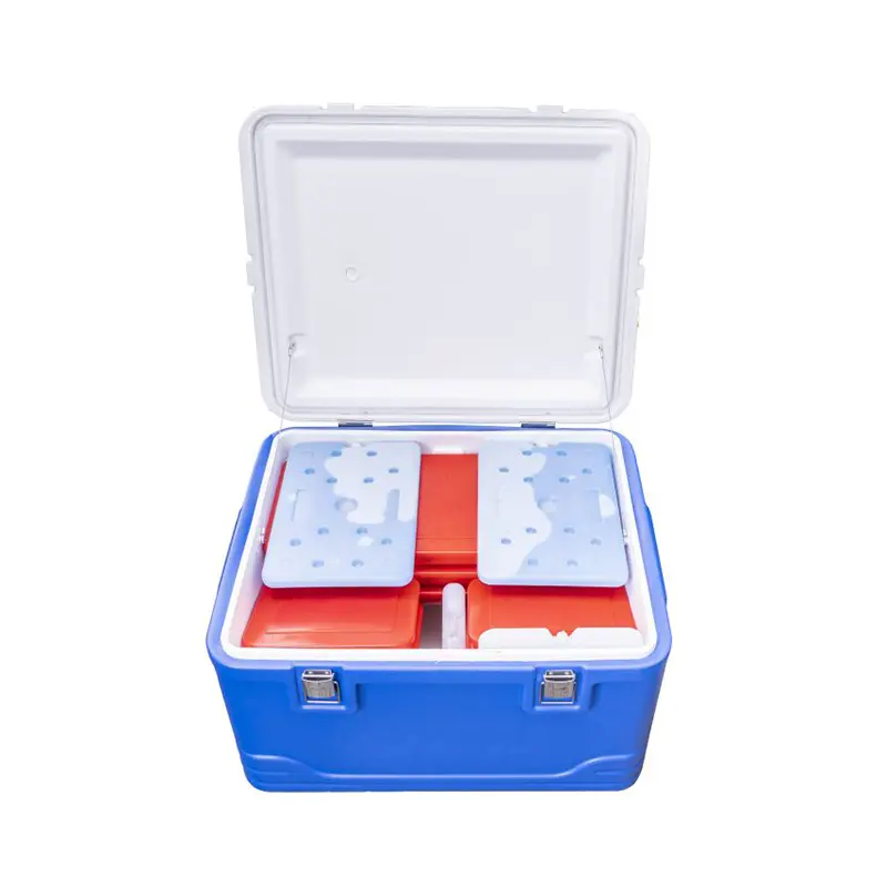 Cold Chain Solution Providers Must Innovate To Meet The Needs Of The Food Industry.